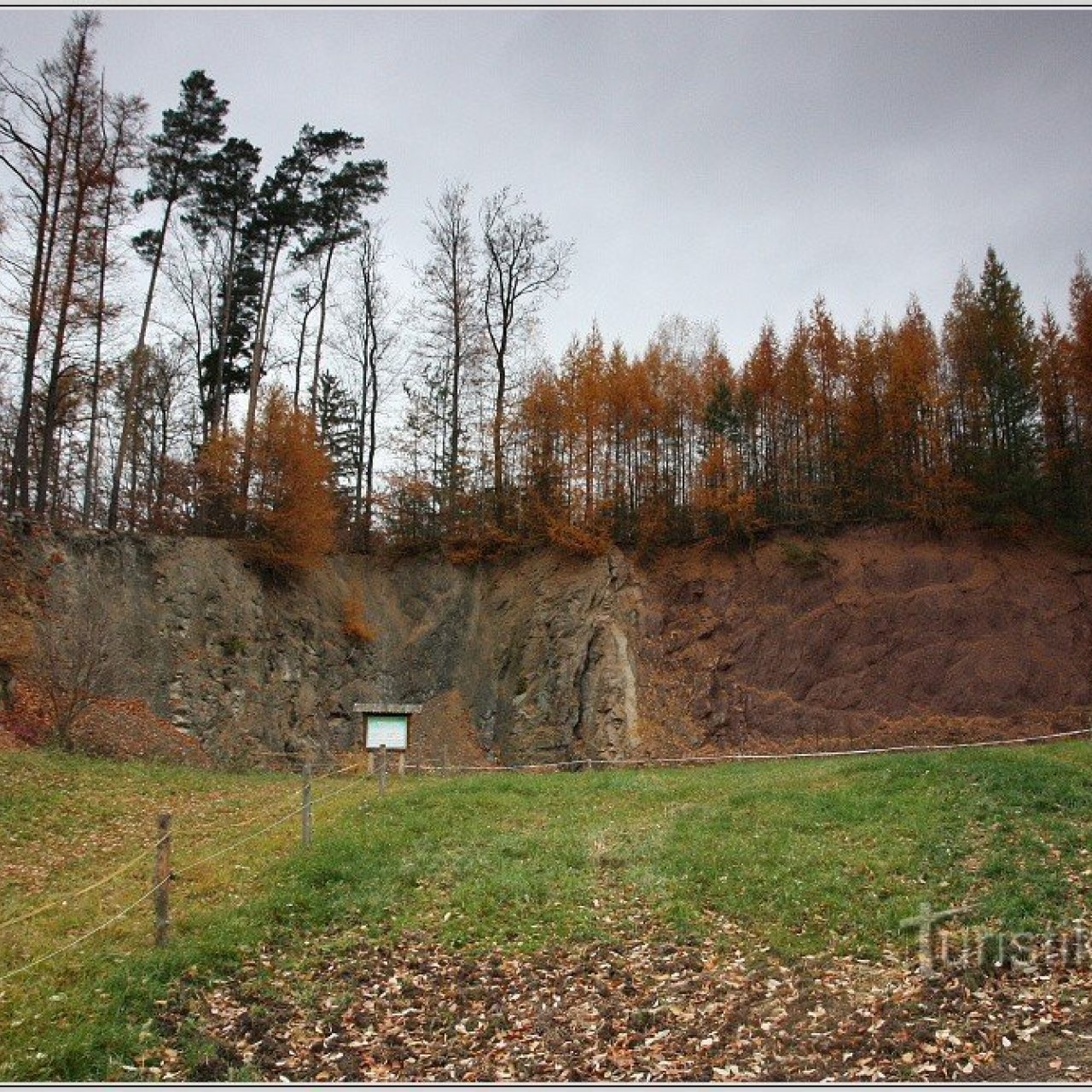 Geologický výchoz u Malých Svatoňovic