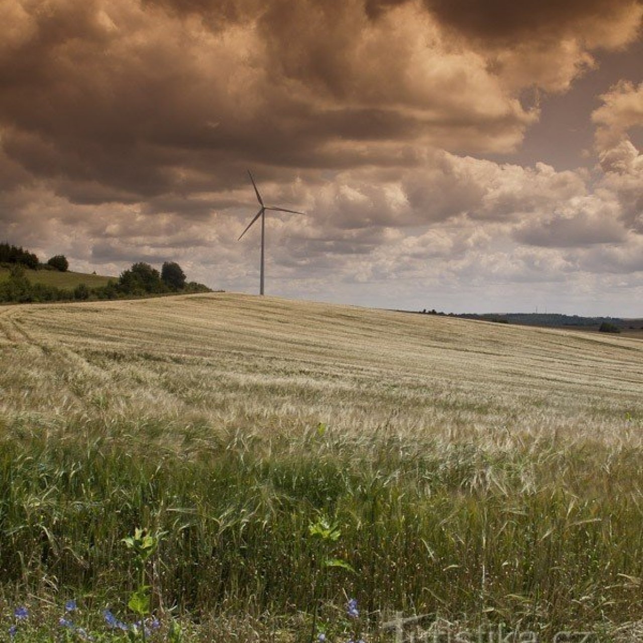 Starý Maletín - větrná elektrárna
