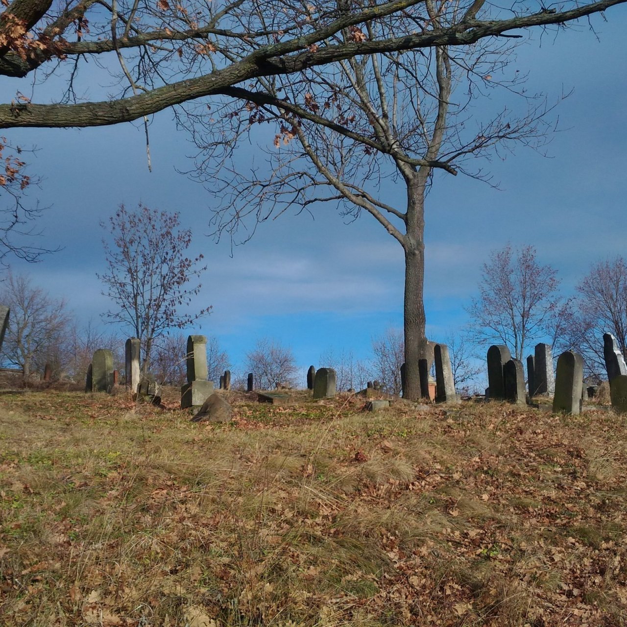 Židovský hřbitov Mašťov.