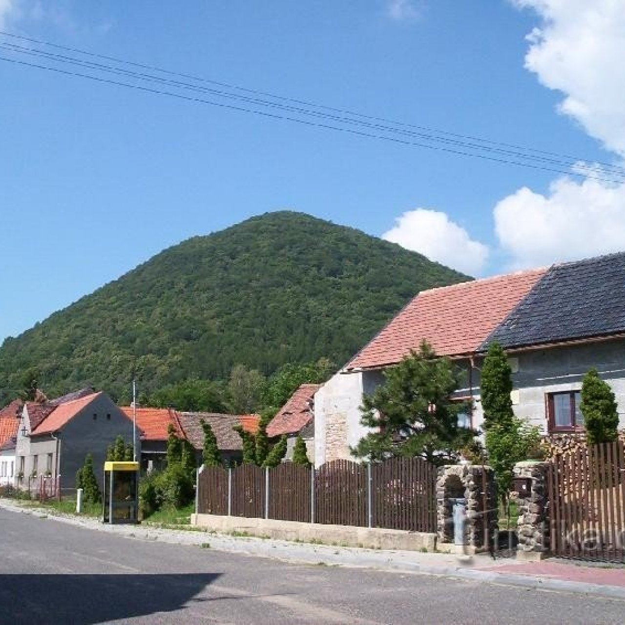 Medvědice