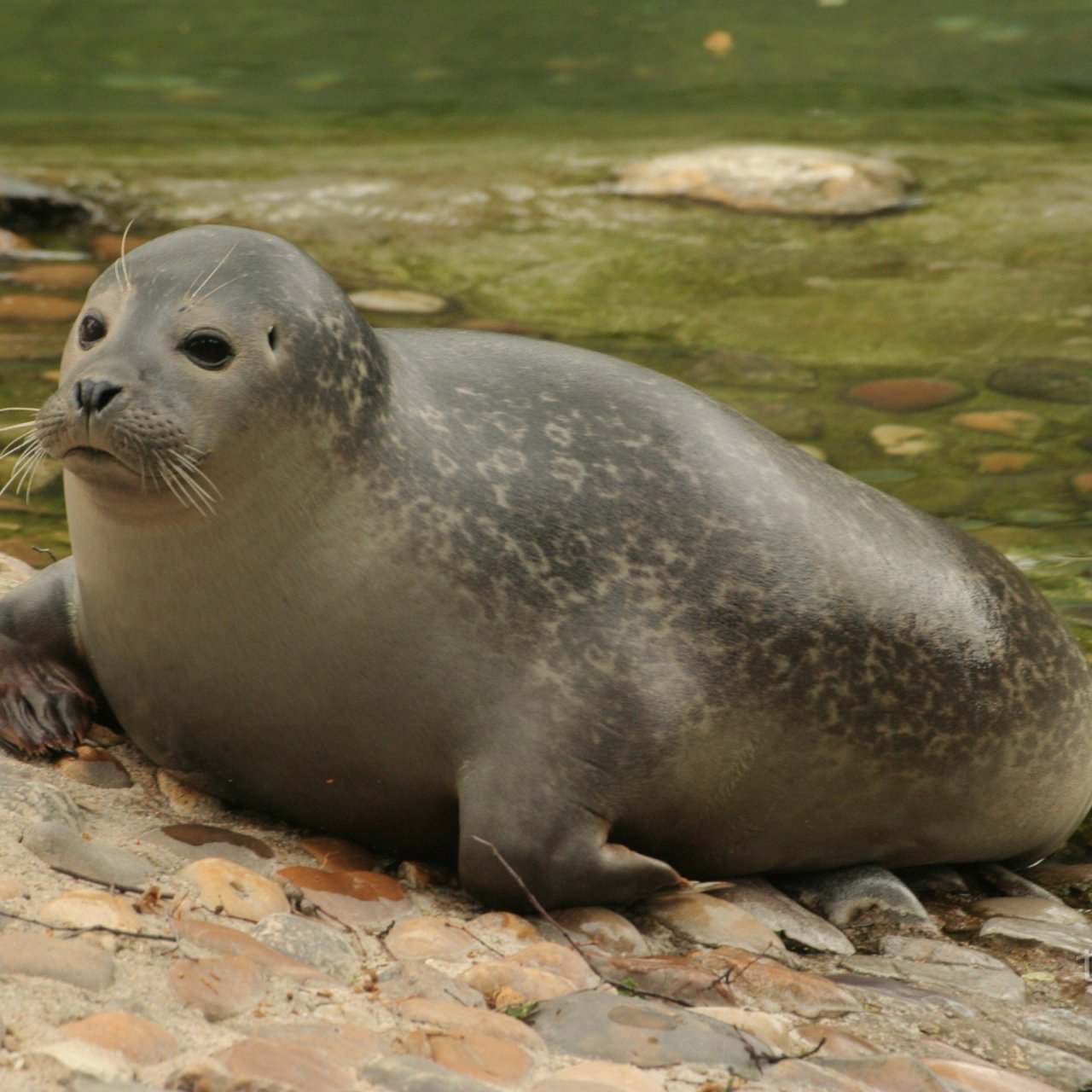 Zoo Ústí nad Labem