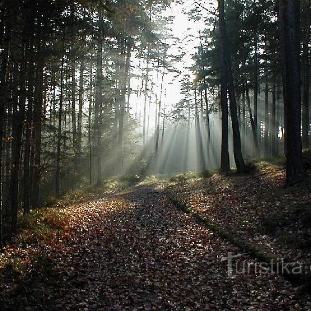 Toulovcovy Maštale