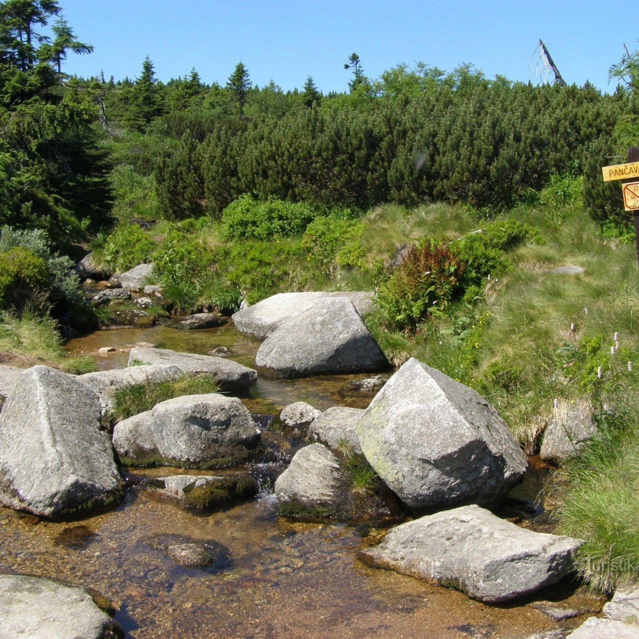 Pančava (v Krkonoších)