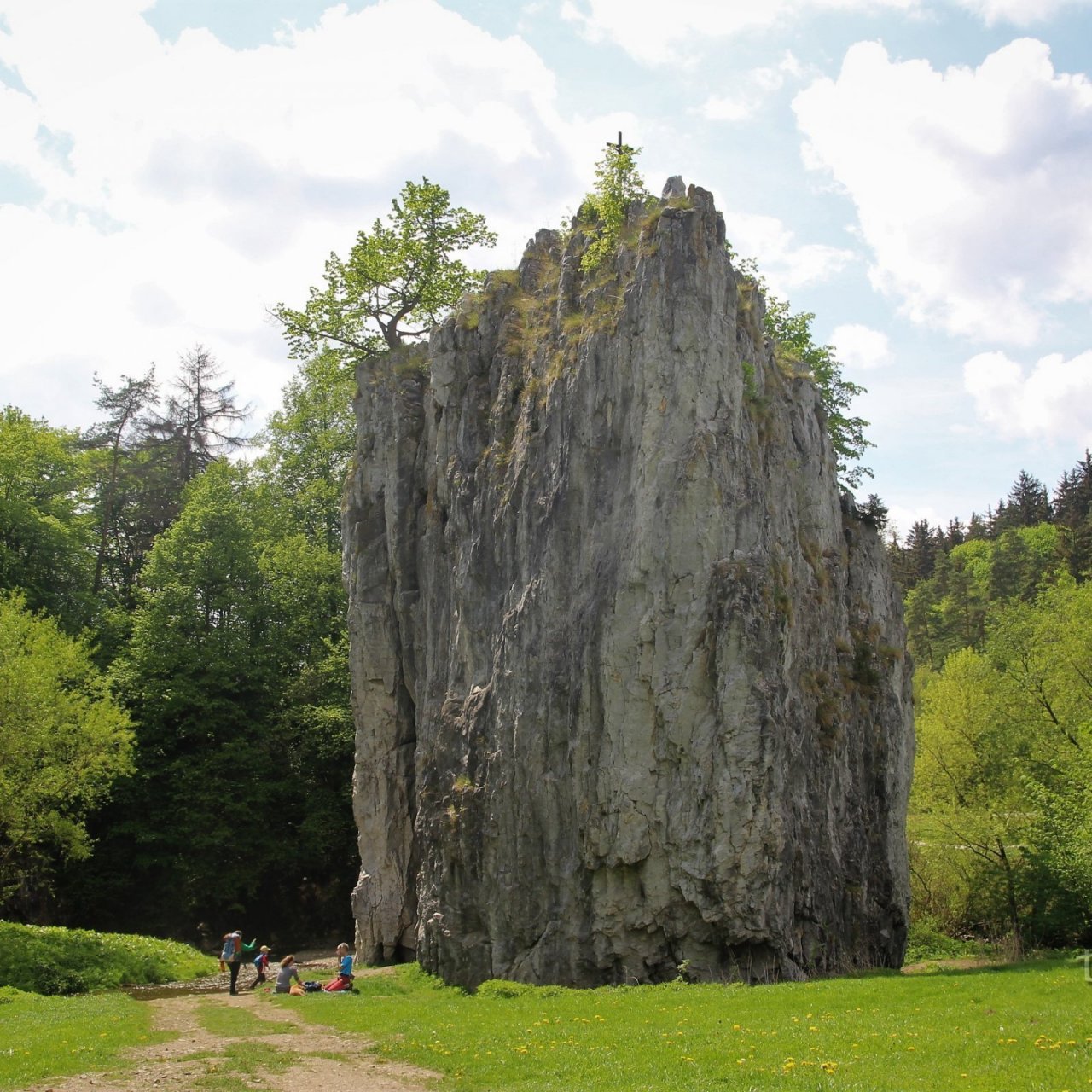 Hřebenáč