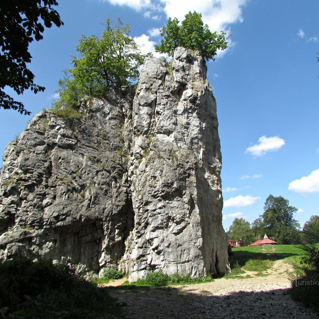 Sloupské skály a hřebenáče