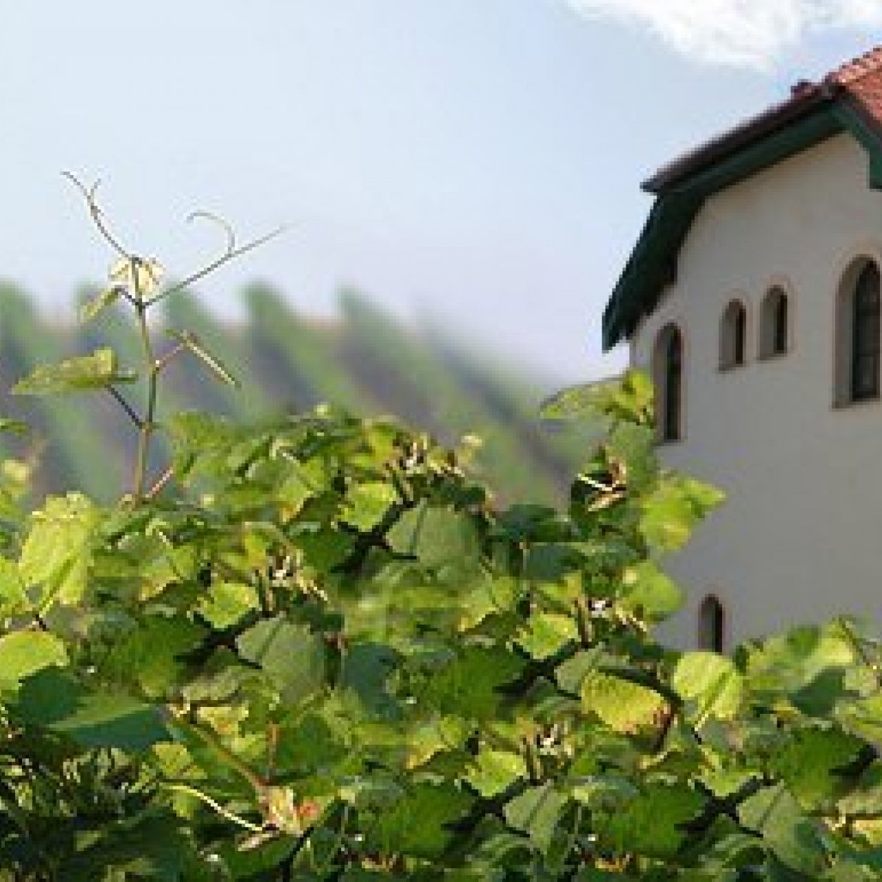 Hotel Vinohrad