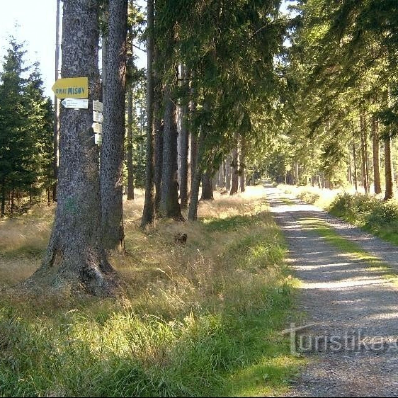 Pod Skalami