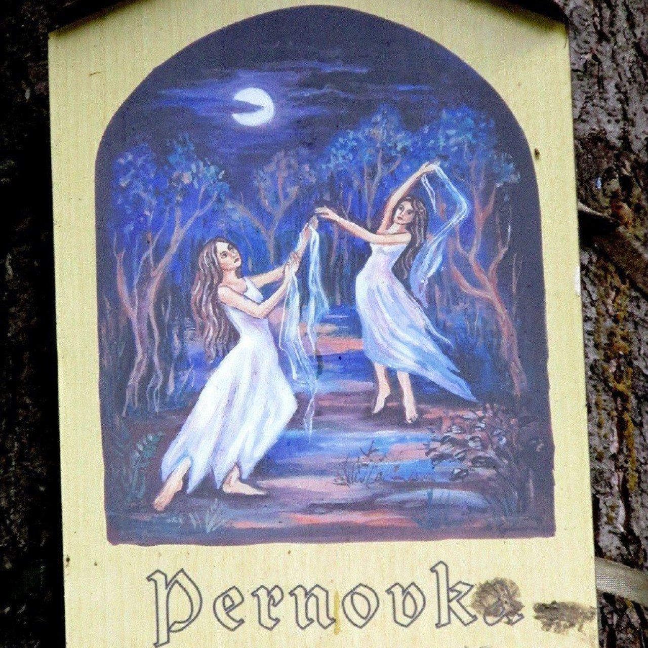 Kde za nocí tančí víly. Louka Permonka, Nové Město na Moravě.