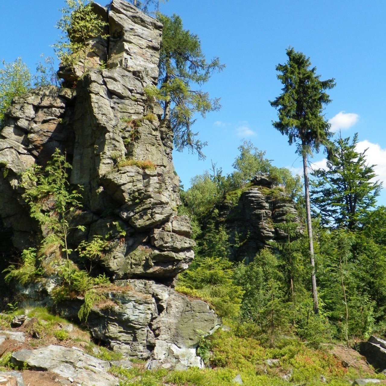 Pohledecké skály