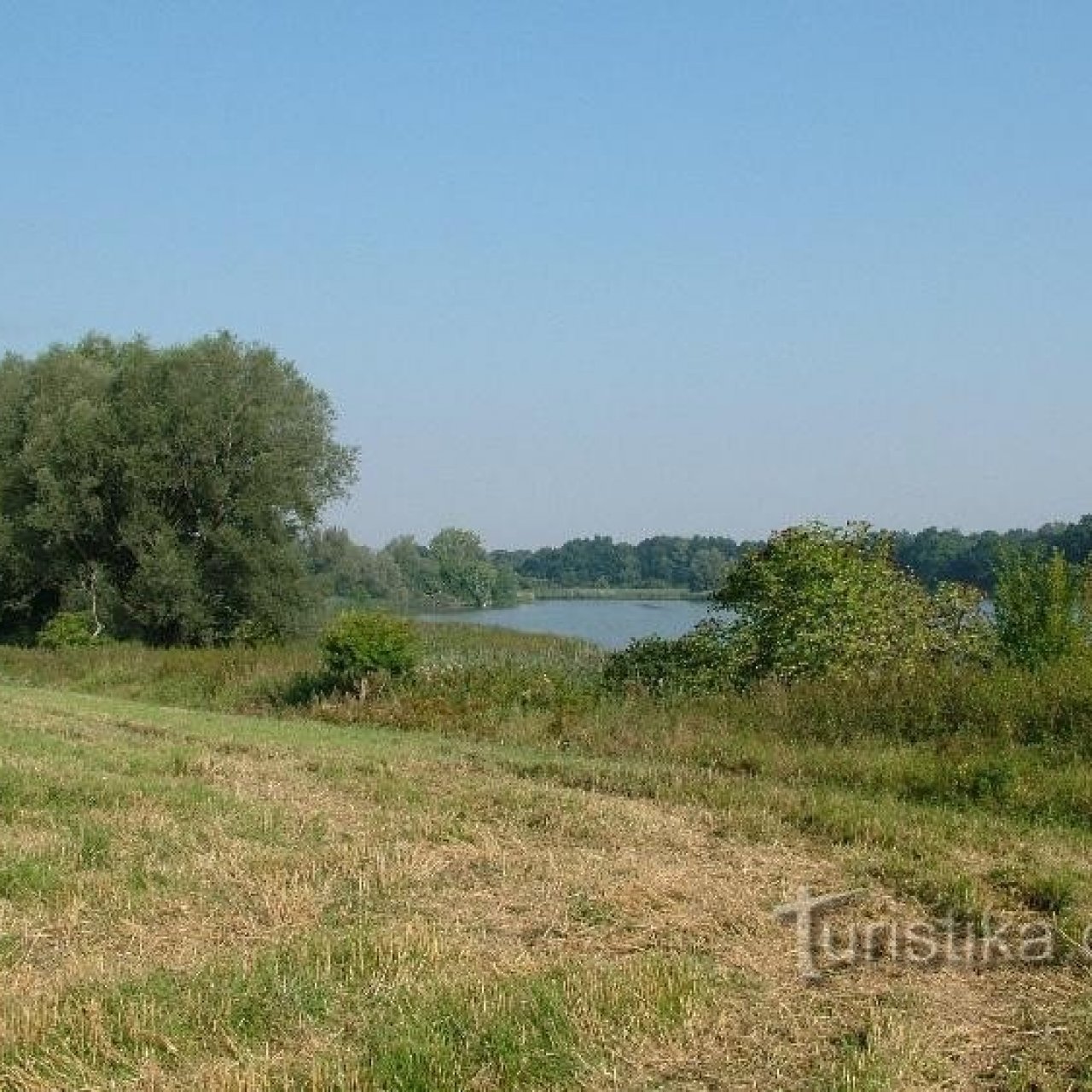 Velký Pavlovický rybník