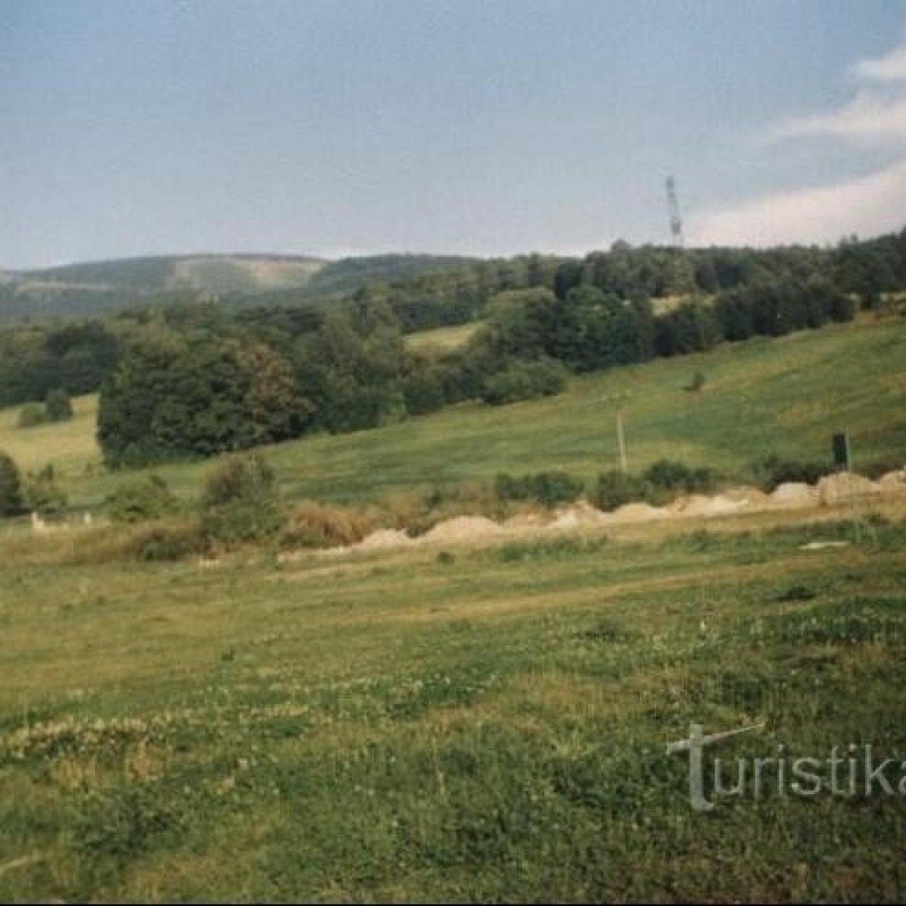 Mravenečník