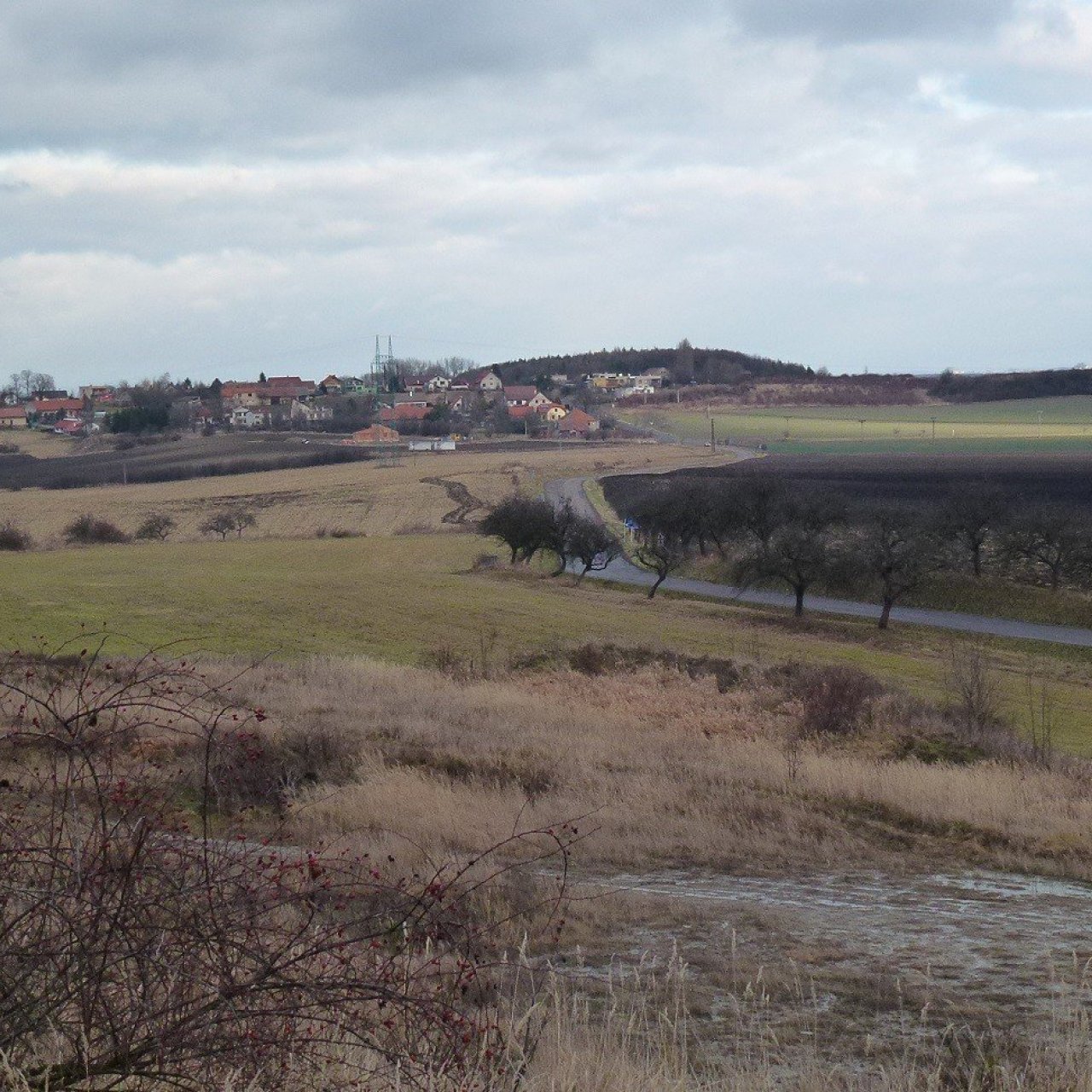 MOKOŠÍN
