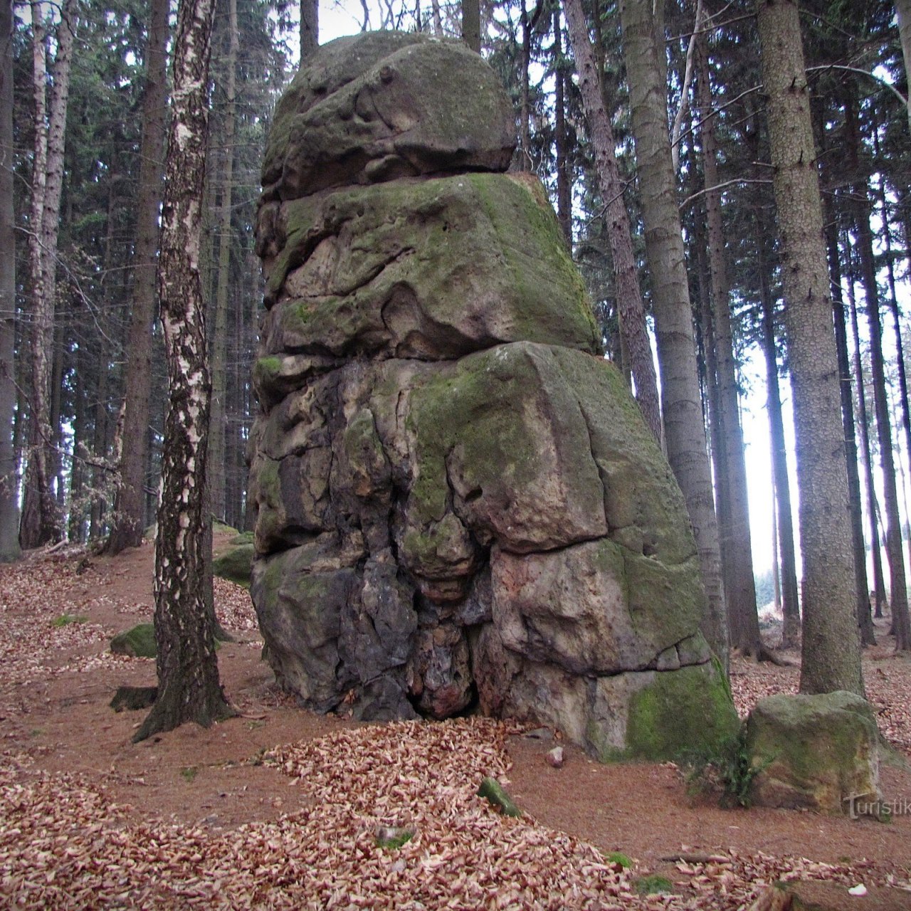 Chřiby - skála Malý Kozel