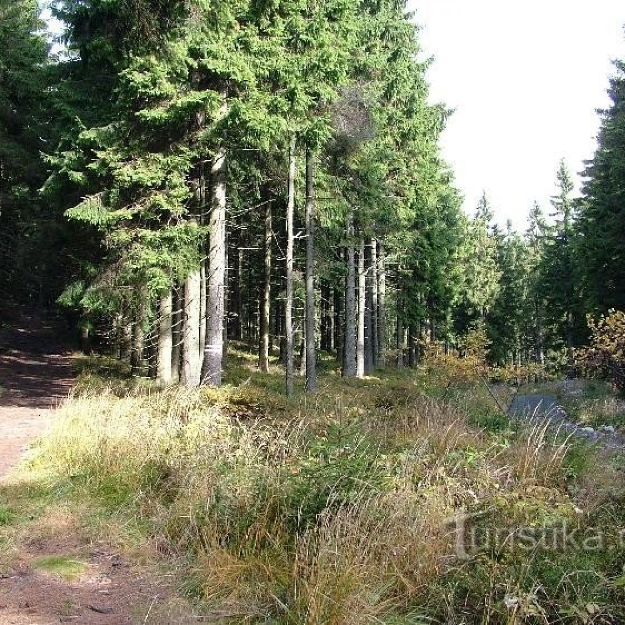 Kobylanka