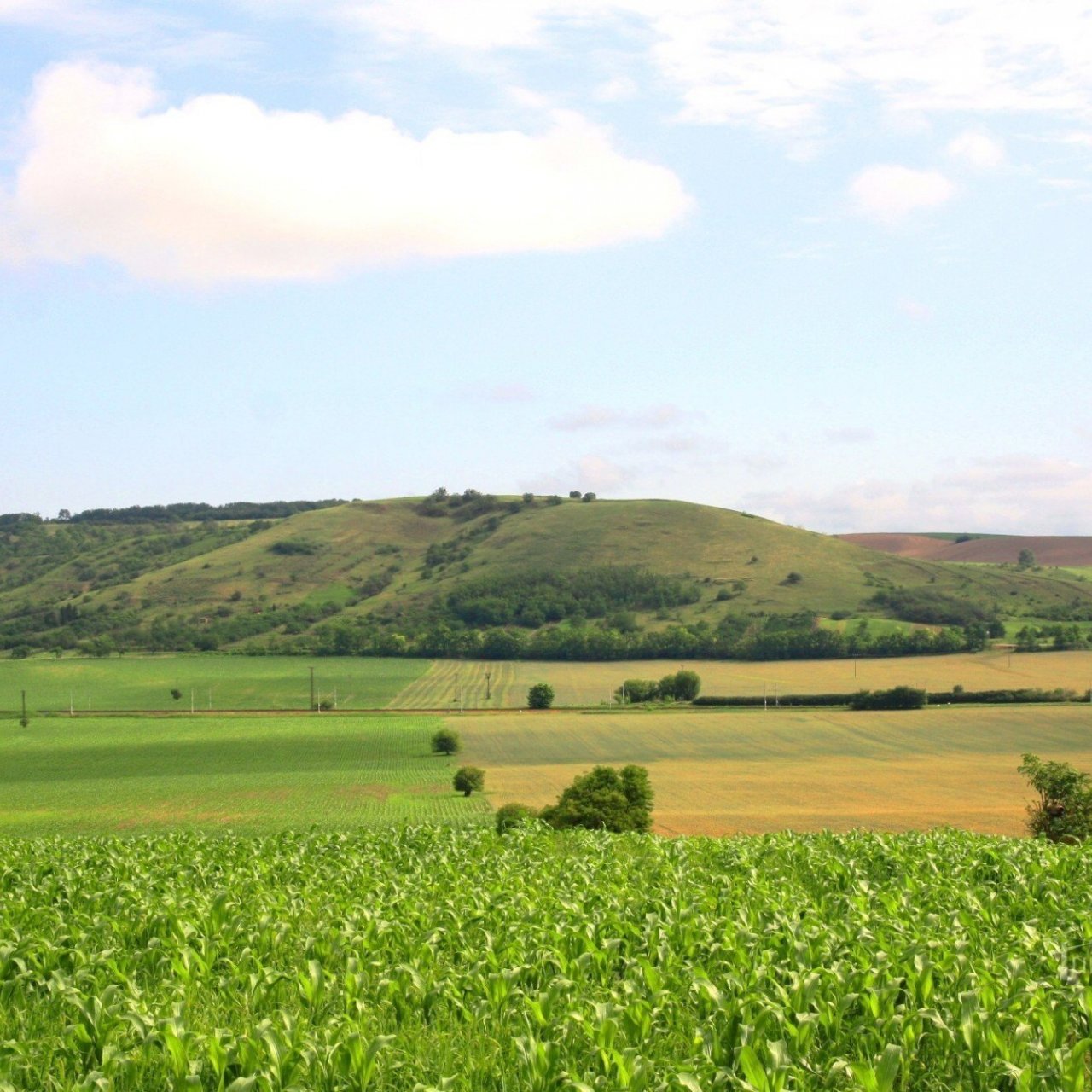 Pouzdřanská step-Kolby - národní přírodní rezervace