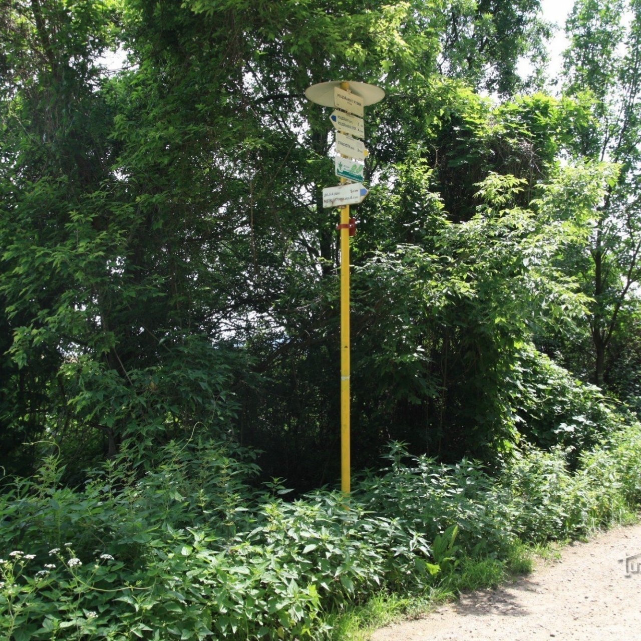 Turistické rozcestí Pouzdřanský rybník