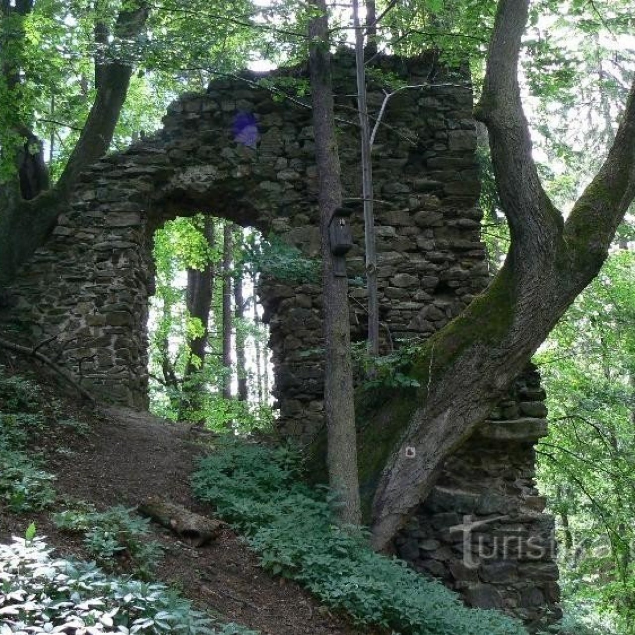 Ronov nad Sázavou
