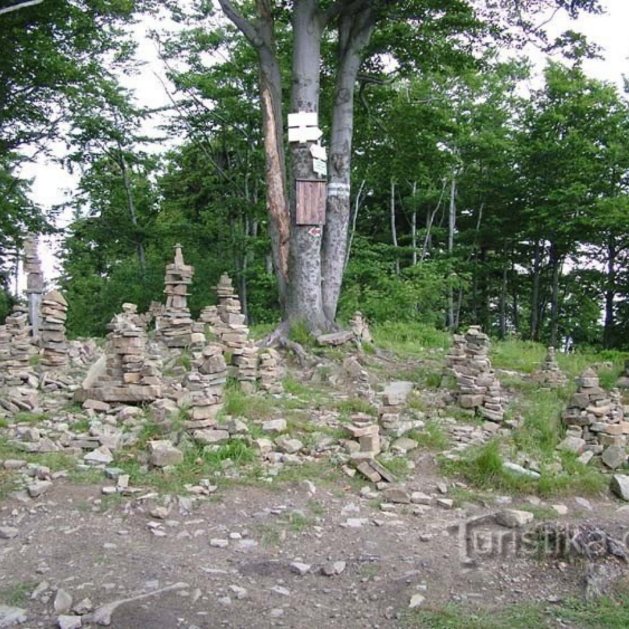 Tanečnice - vrchol