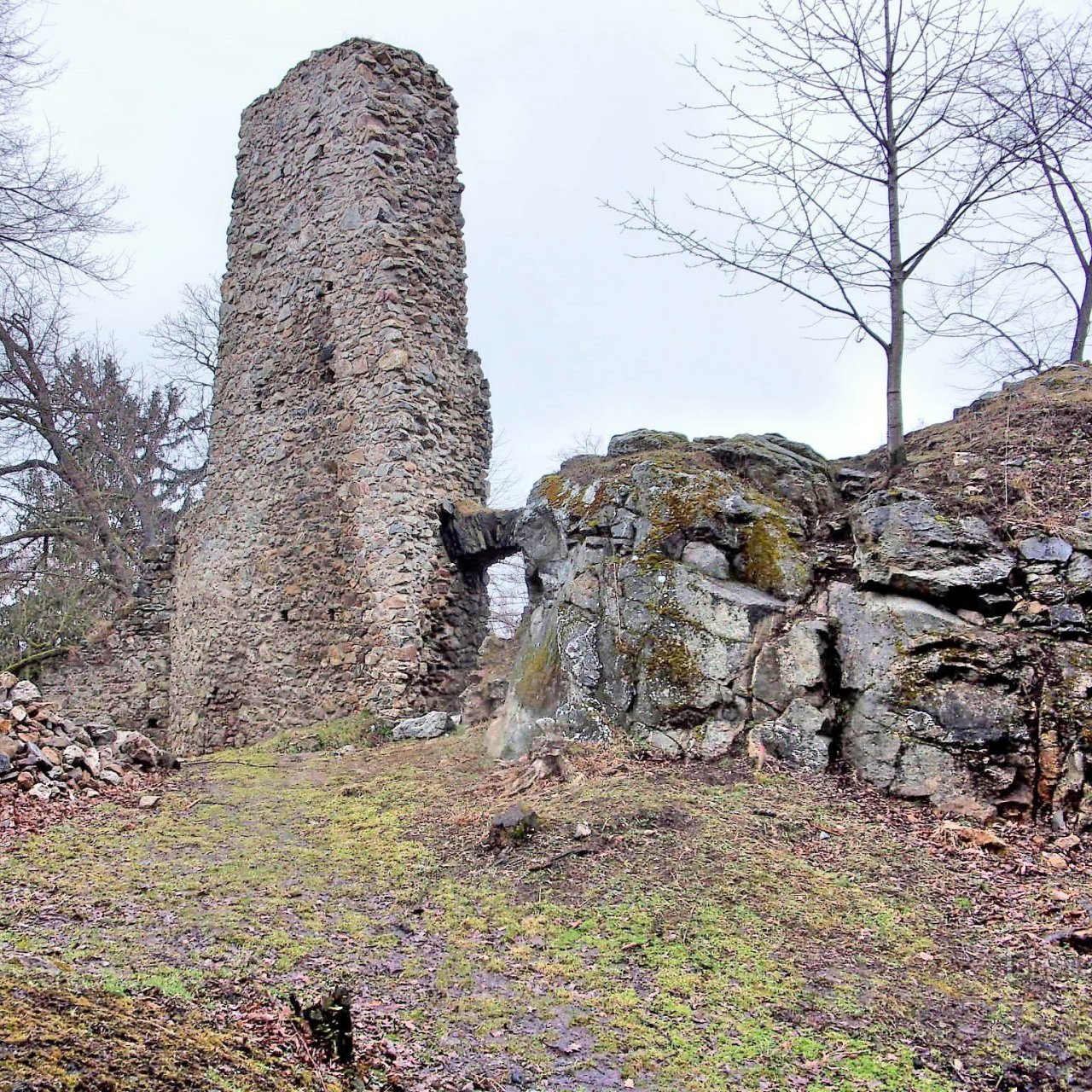 zřícenina hradu Rabštejnek