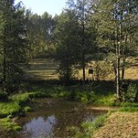 Přírodní památka Rádlo