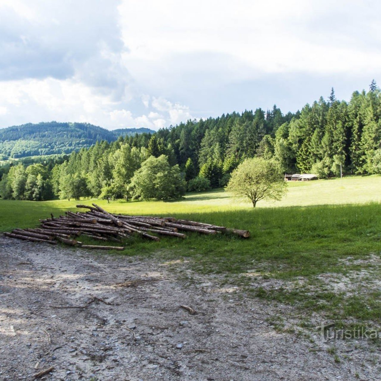 Přední Bukový – rozhledna Bukovka