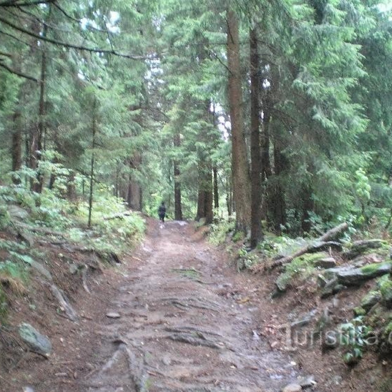 Dračí skály