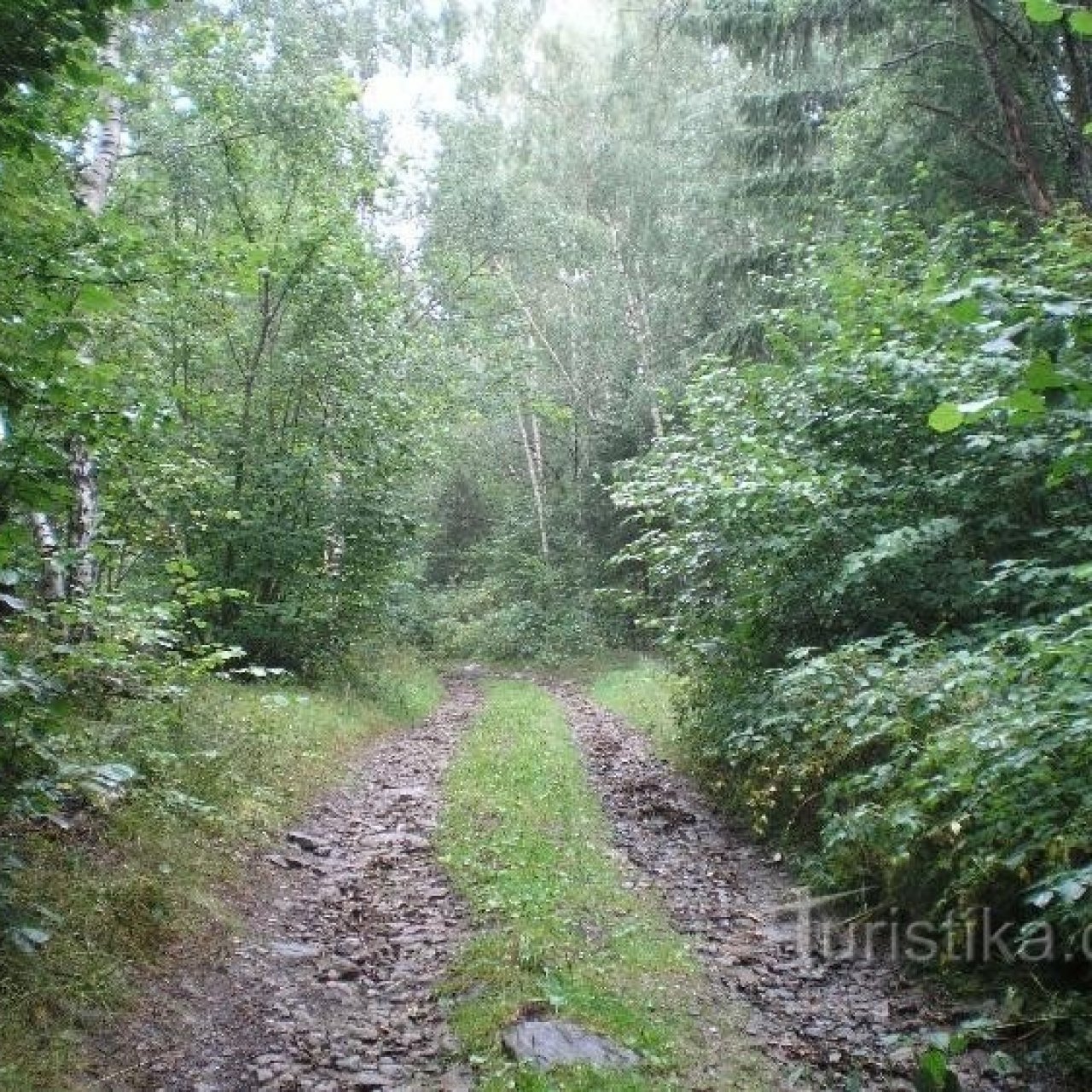 Kozí Hřbety