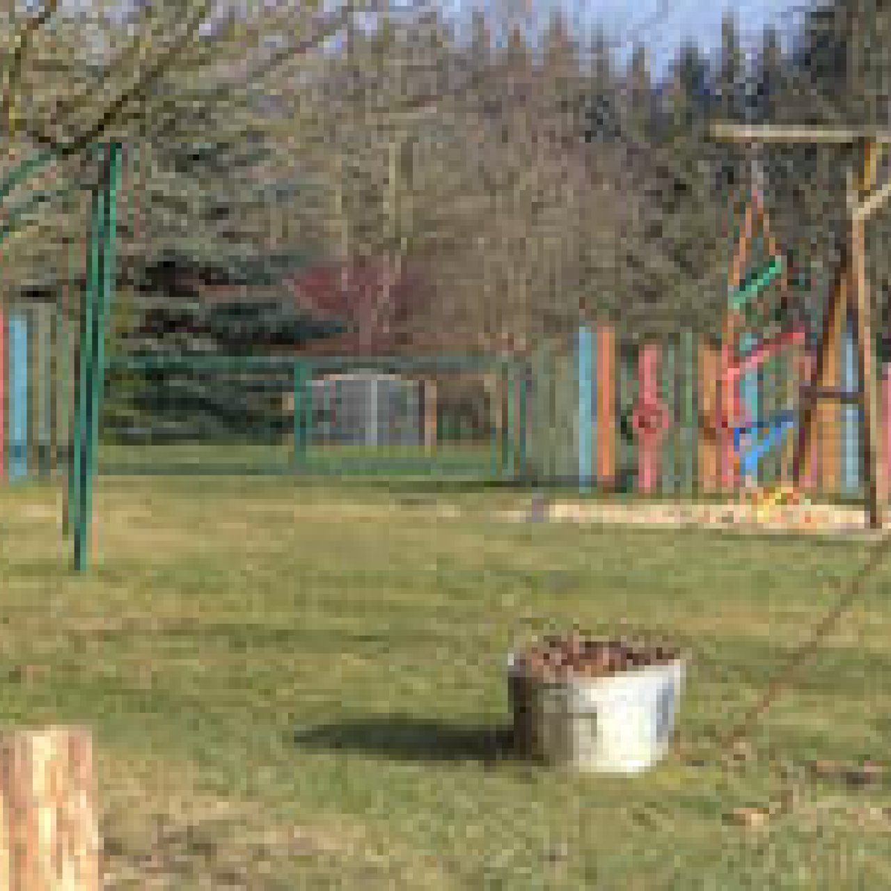 Bild - Kindertagesstätte Naturkinder Weißbach