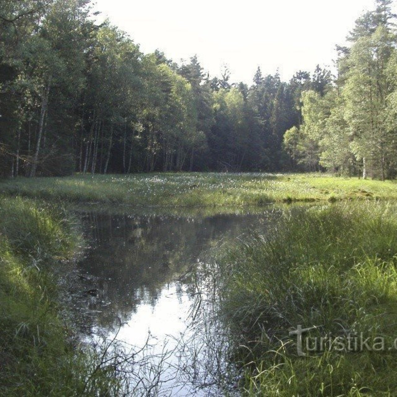 Jezírka u Rozvadova