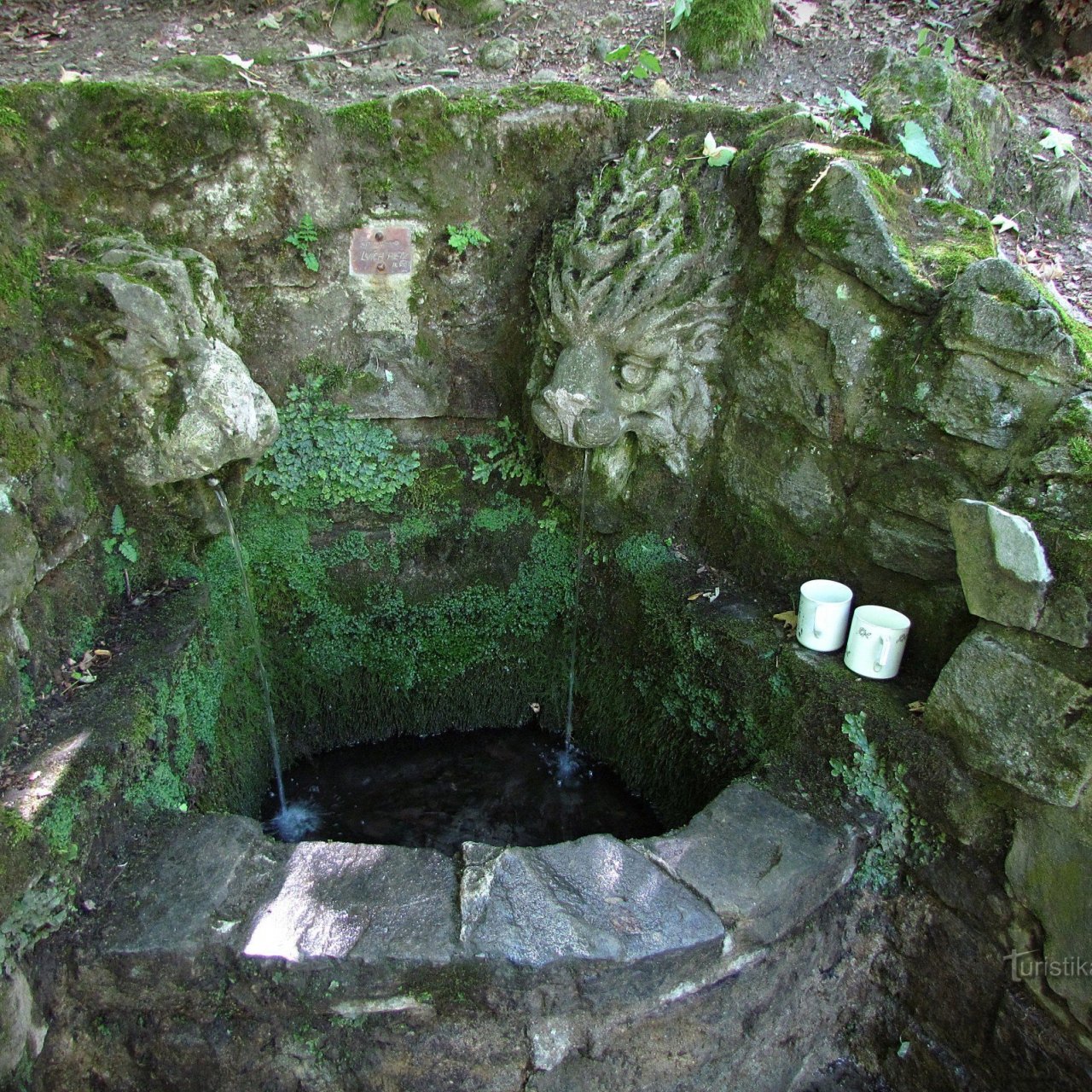 Chřiby - studánka U Lvích hlav