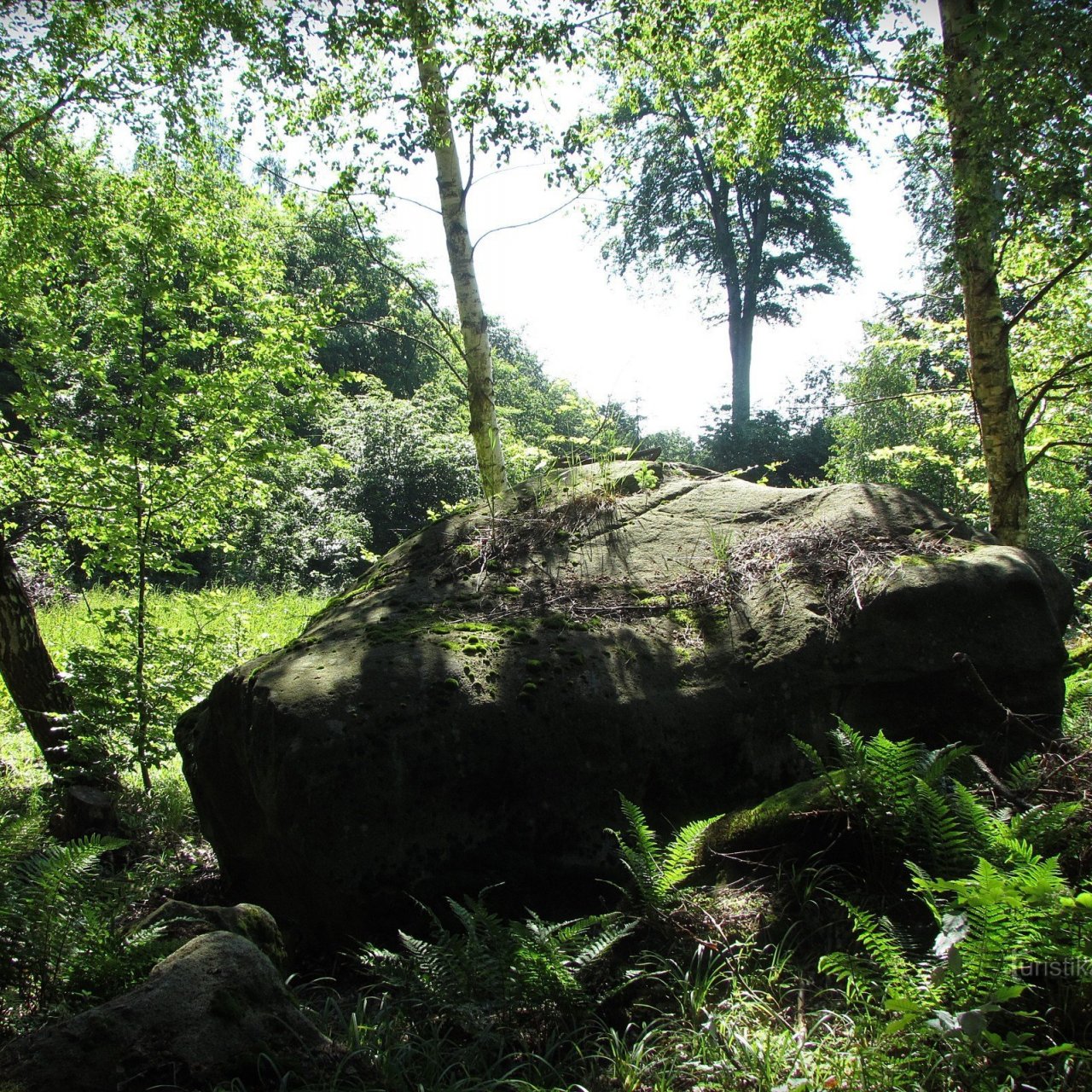 Chřiby - Zavěšené skály