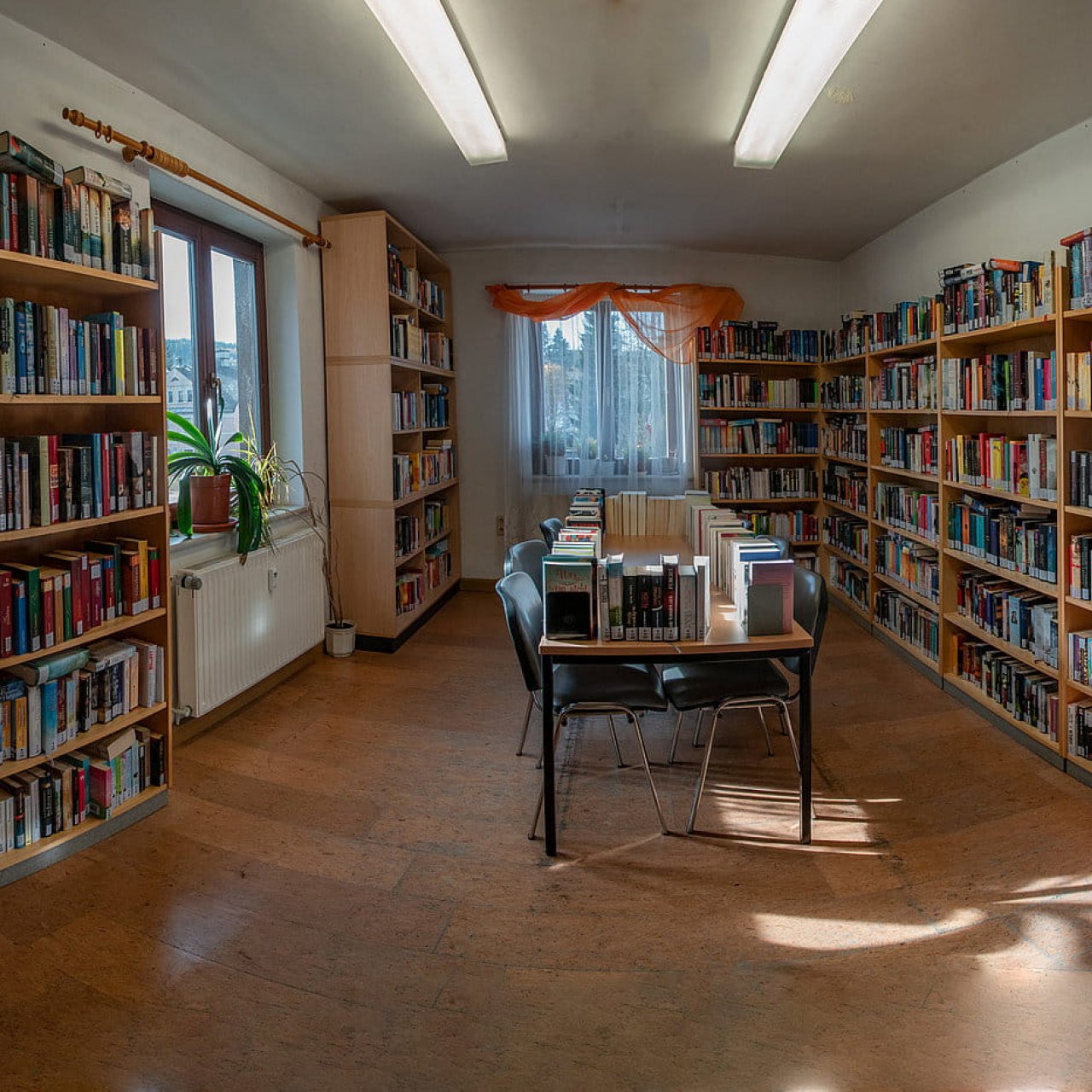 Bild - Bibliothek Sehmatal-Neudorf