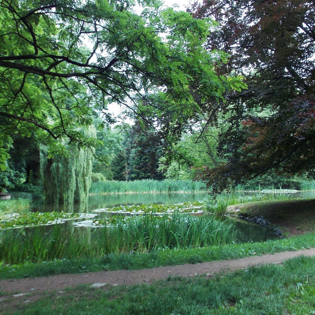 Anglický zámecký park - Slatińany