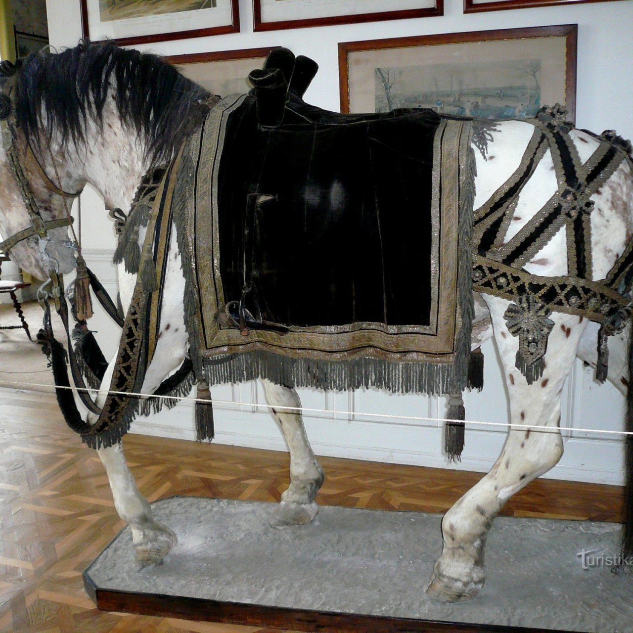 Hipologické muzeum Slatiňany