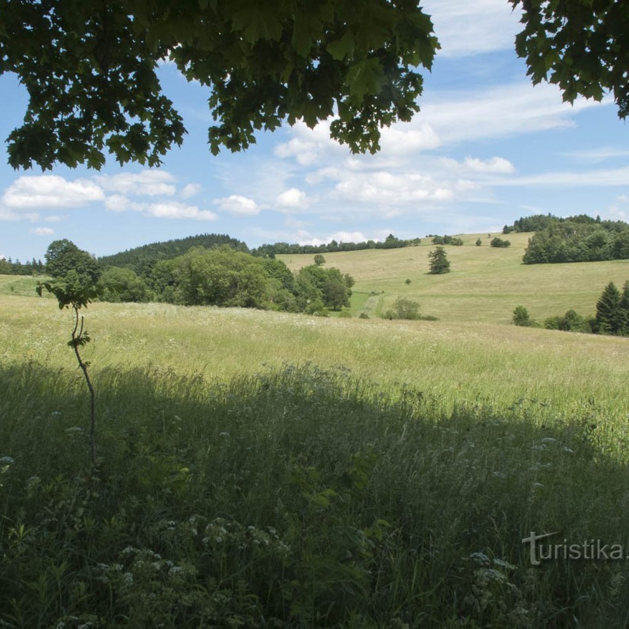 Branenská vrchovina – Holý vrch 852 m