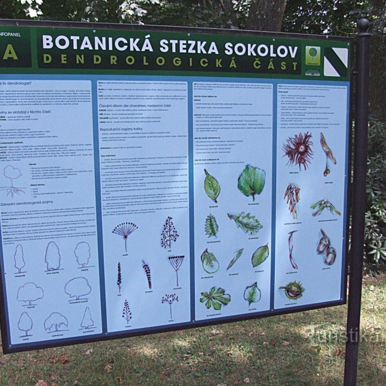 Botanická stezka Sokolov
