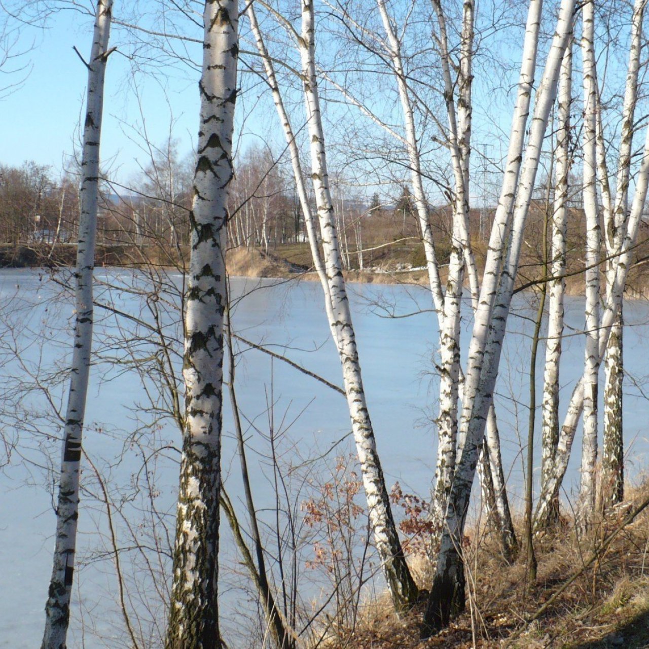 Zatopená jáma u Sokolova