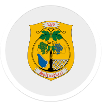 commmon.account_logo