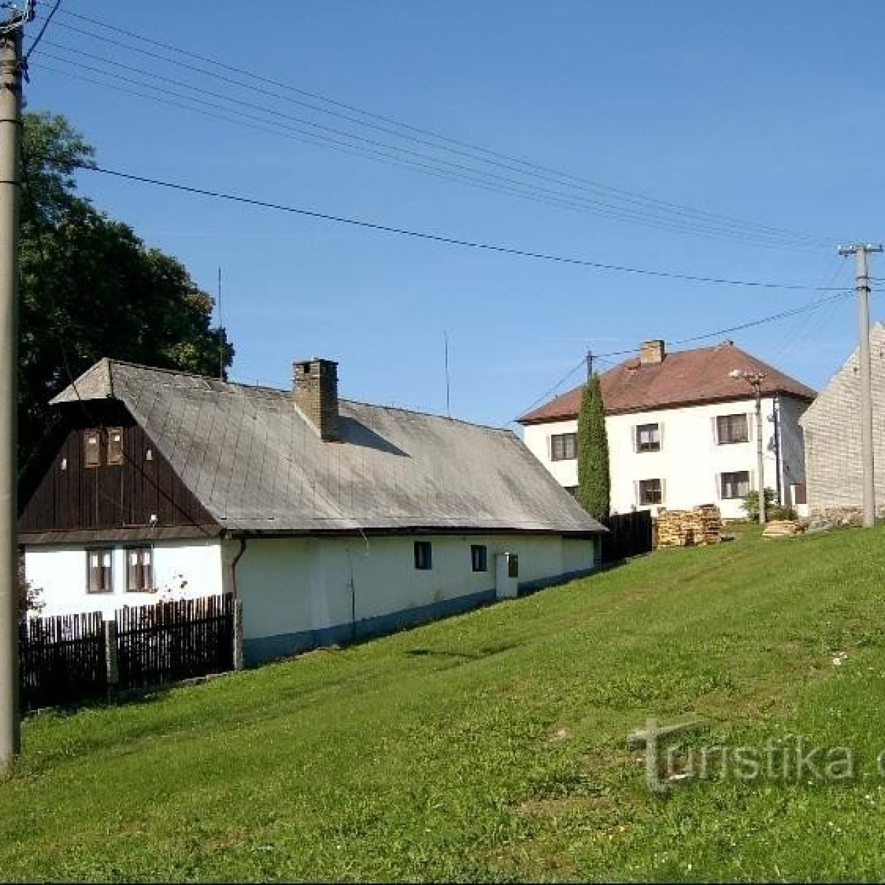 Hořehledy