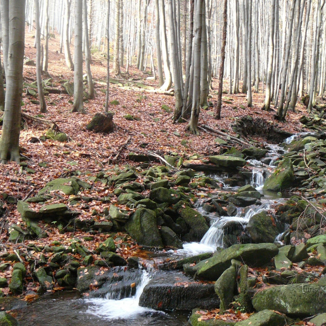 Kyčerov
