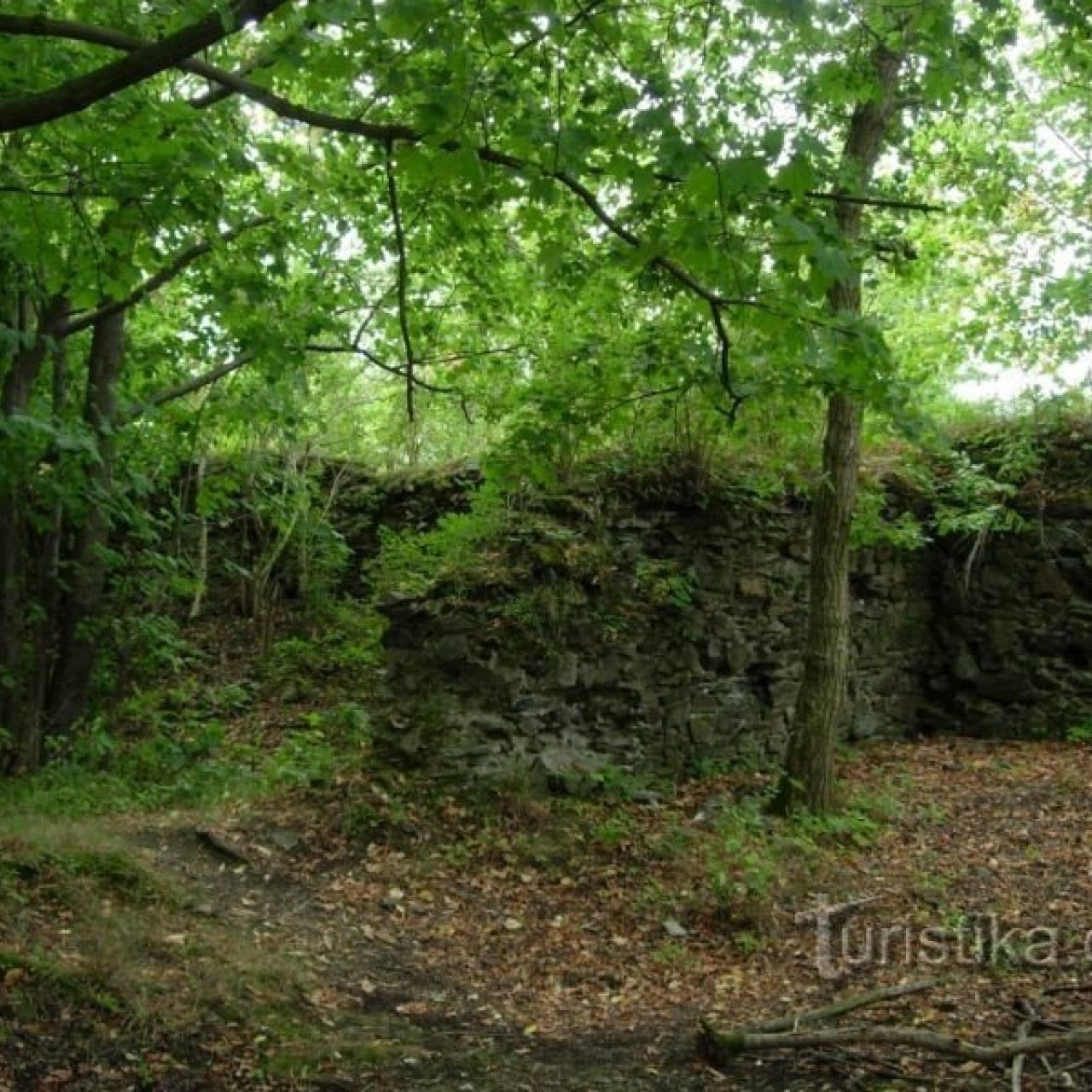 Kokšín