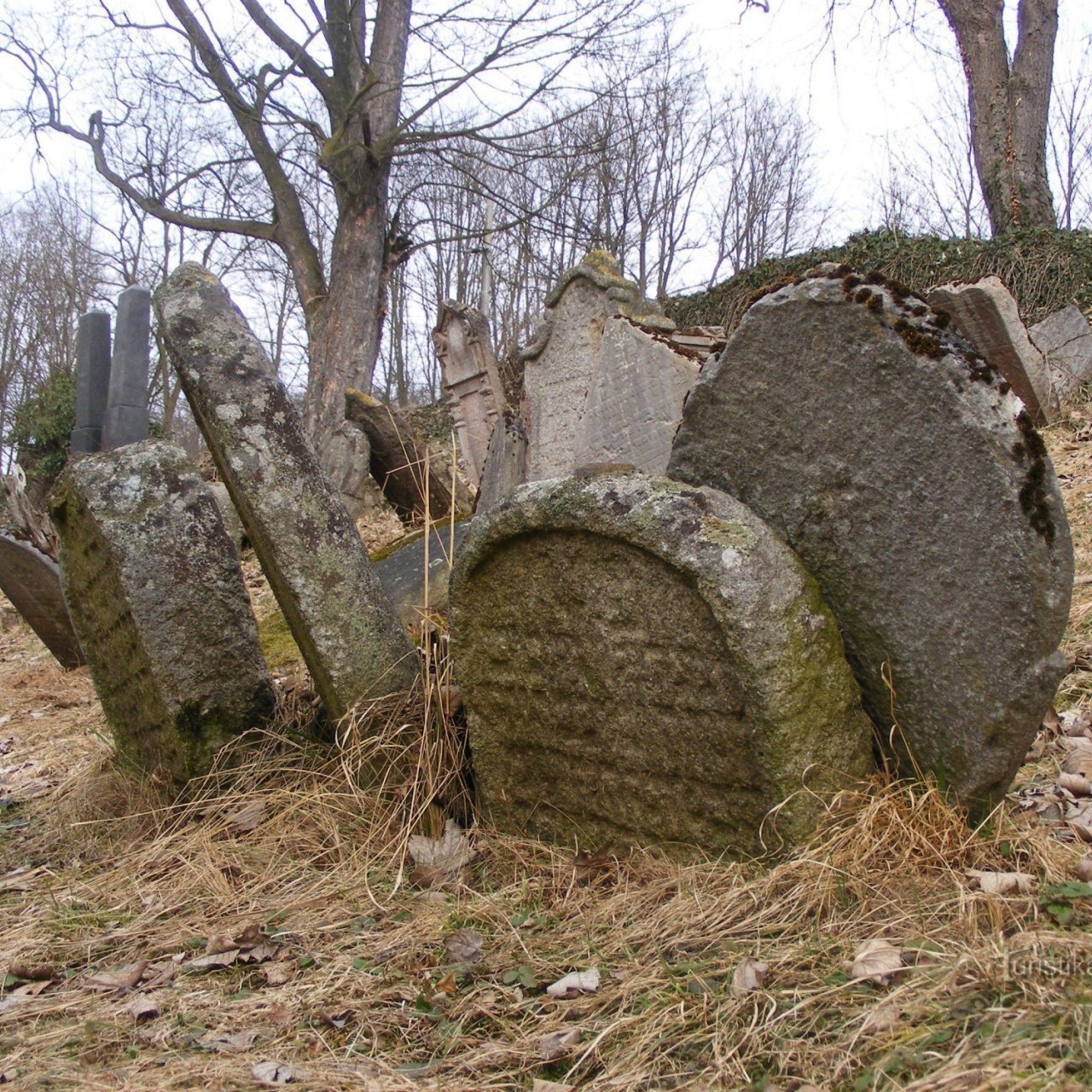 Židovský hřbitov - Švihov