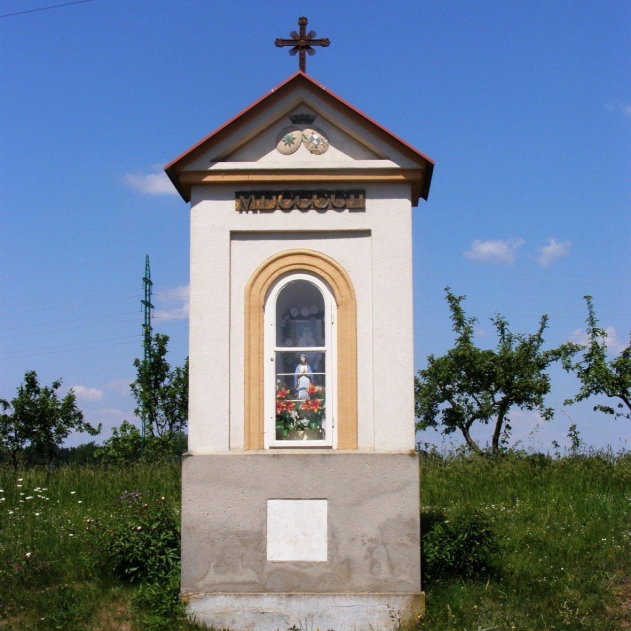 Synkov