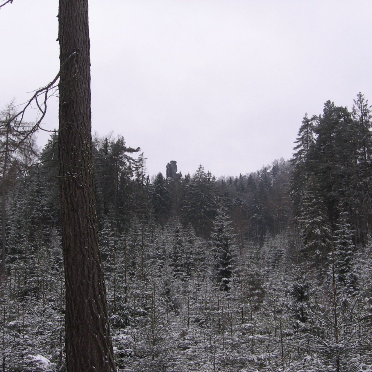 Biskup (Mnich)