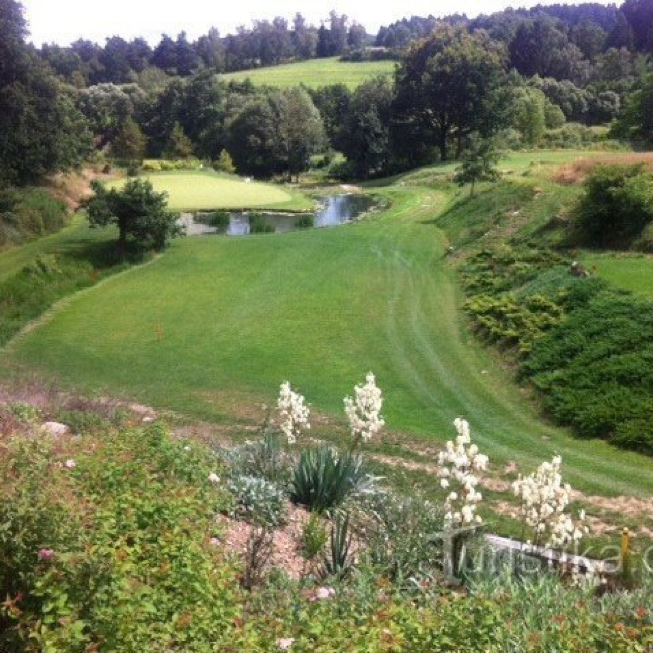 golf Trhový Štěpánov