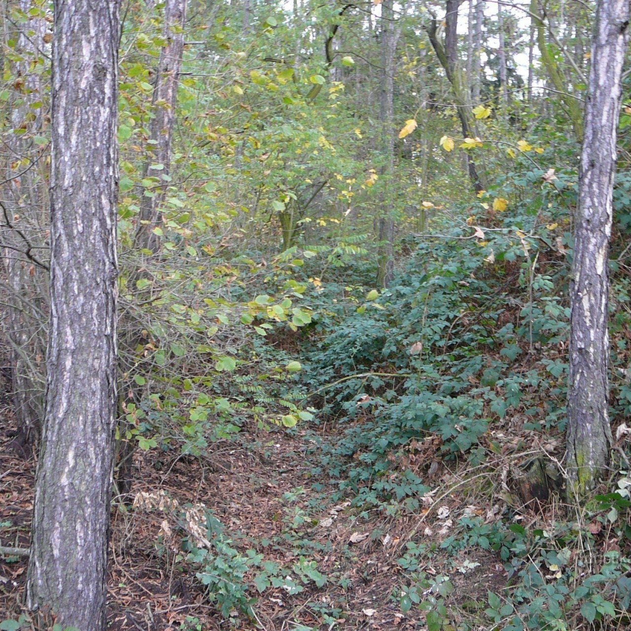 Pecihrádek