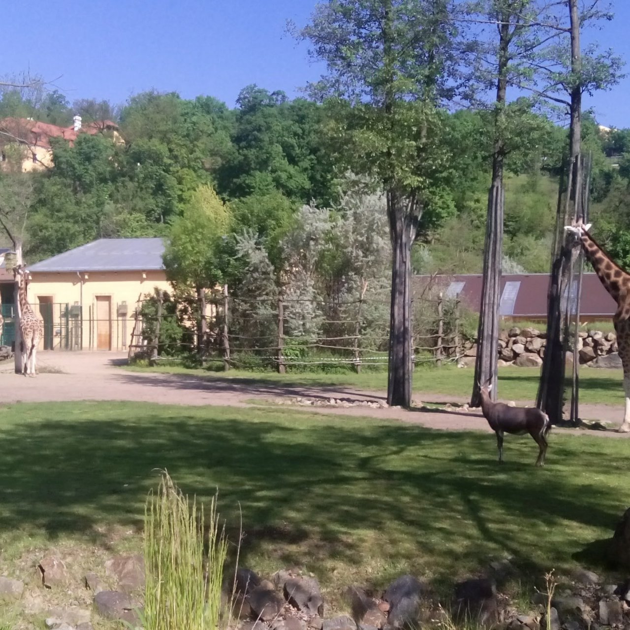 Zoo Plzeň