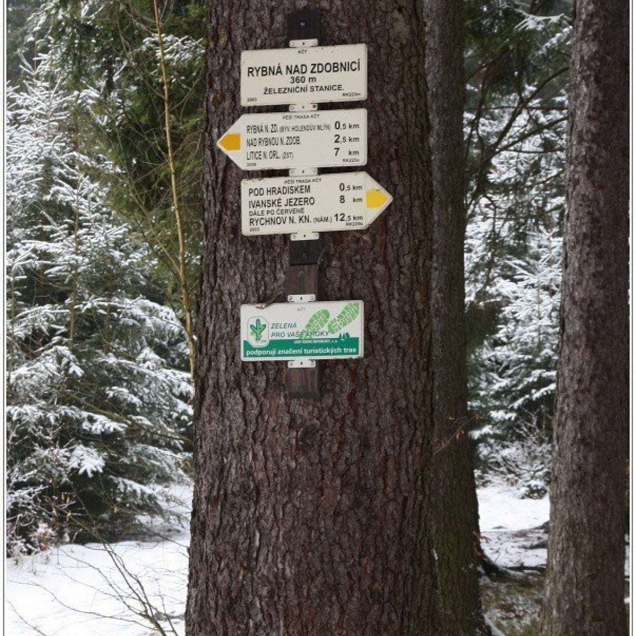 Turistický rozcestník Rybná nad Zdobnicí, žst.