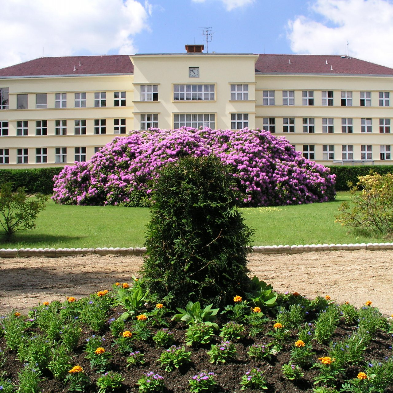 Obrázek - Nemocnice Varnsdorf