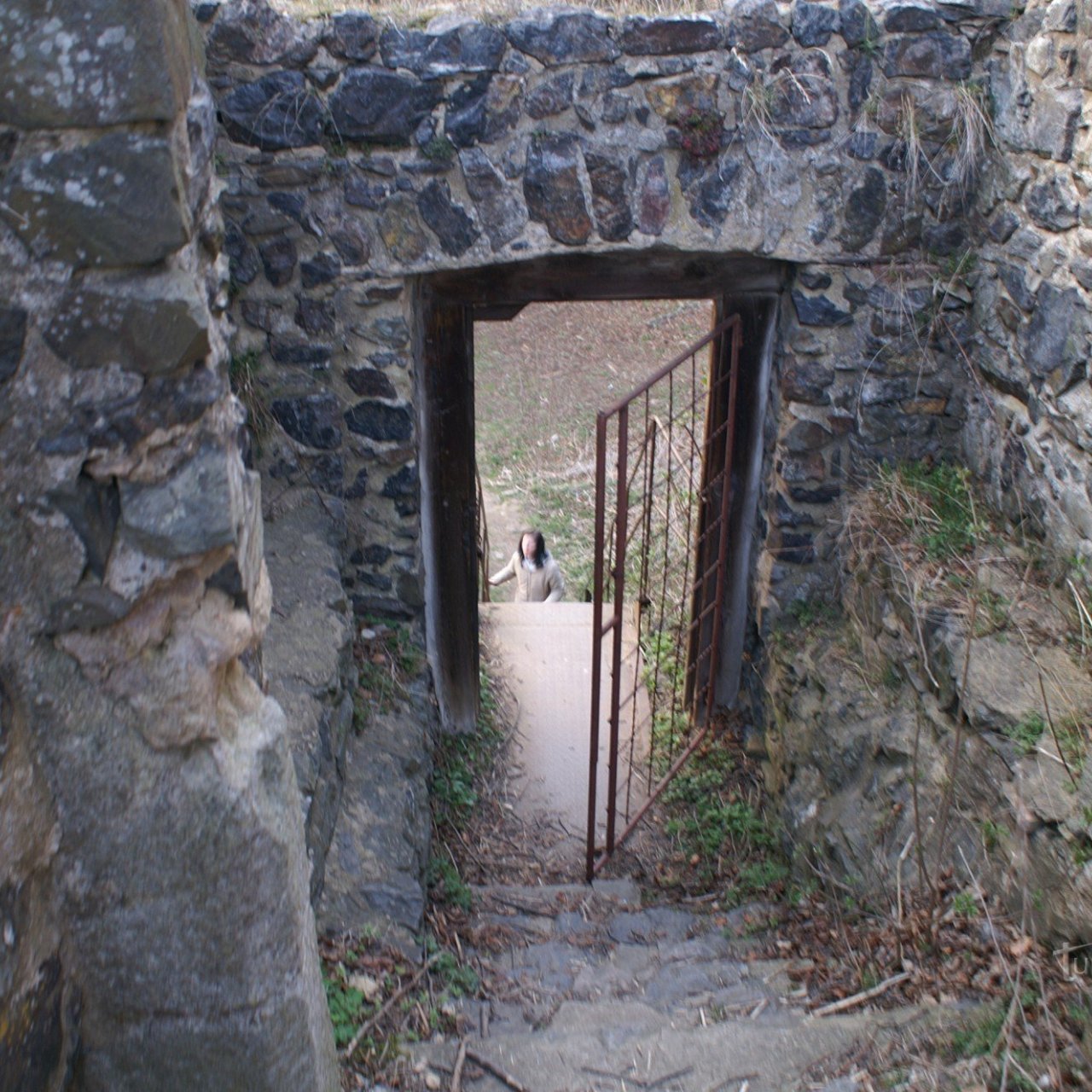Vlčtejn